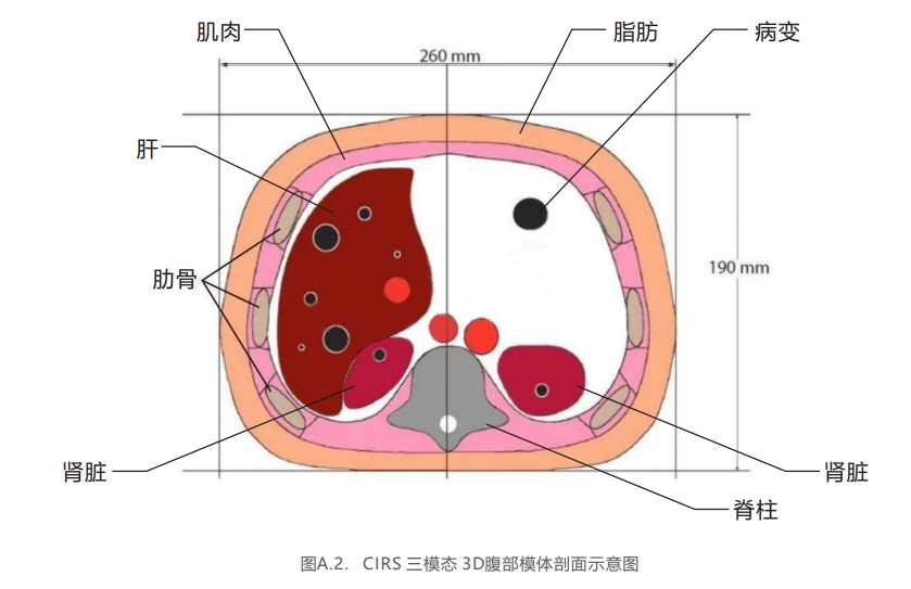 三模態(tài)3D腹部模體2