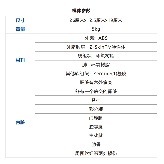 三模態(tài)3D腹部模體3