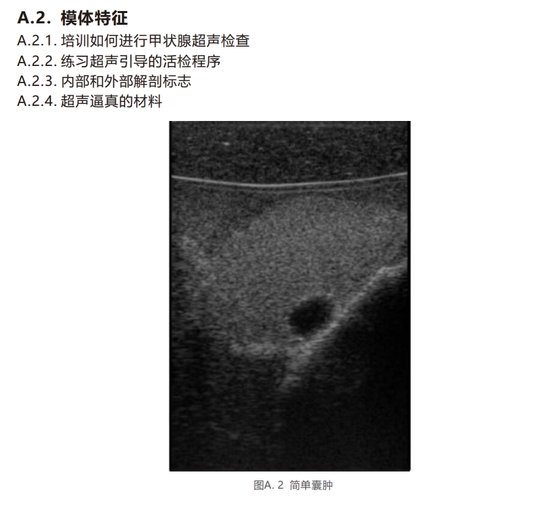 甲狀腺超聲模體2