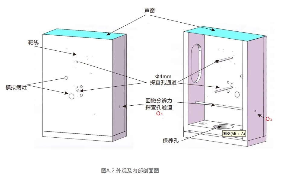 腔內(nèi)掃查超聲模體2