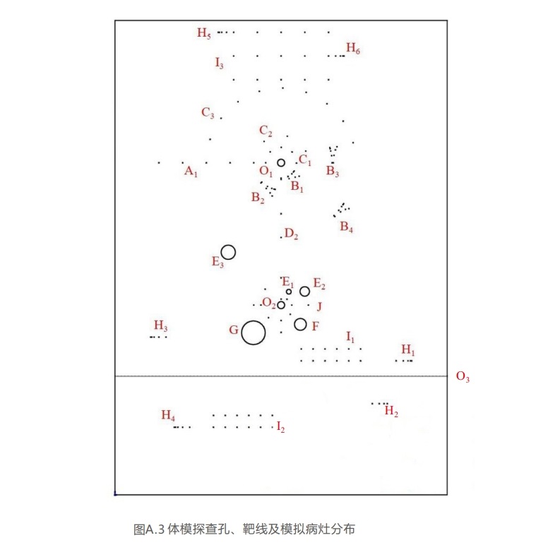 腔內(nèi)掃查超聲模體7