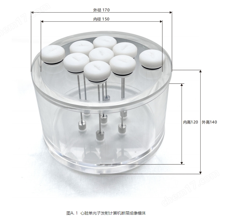 心臟模體1